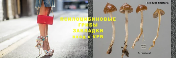 прущая мука Алексеевка