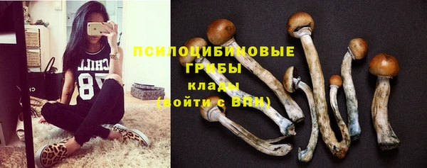 прущая мука Алексеевка