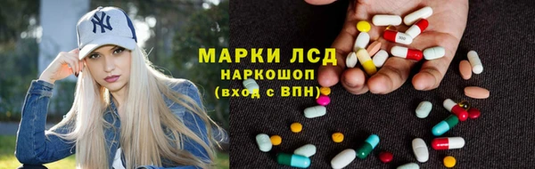 стаф Алексин